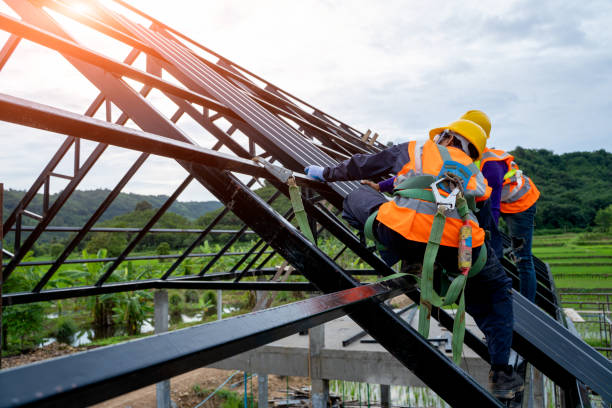 Best Roof Gutter Cleaning  in Dalzell, SC
